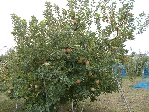 2024aki037.JPG