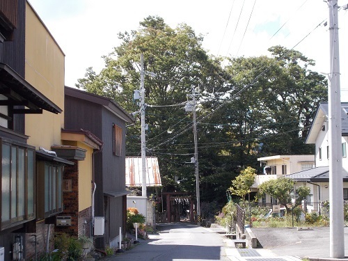 2024aki115.JPG