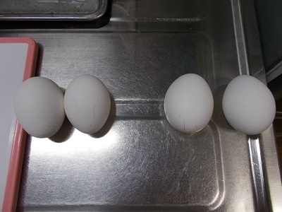 59805.JPG