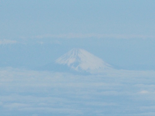 2025nago010.JPG