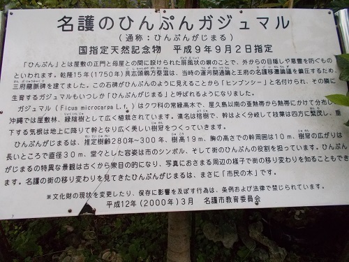 2025nago050.JPG