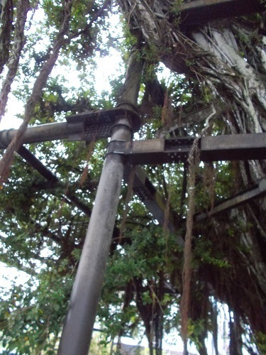 2025nago053.JPG