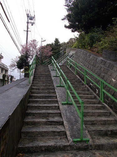 2025nago091.JPG