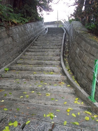 2025nago093.JPG