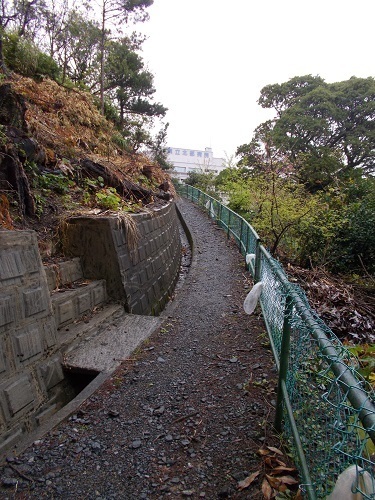 2025nago094.JPG