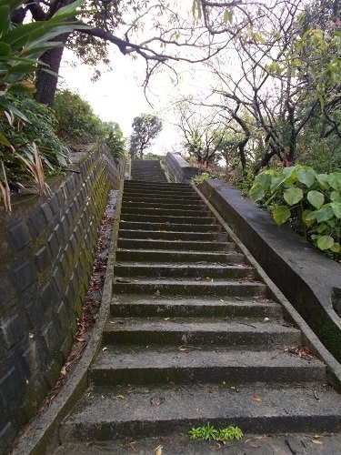 2025nago095.JPG