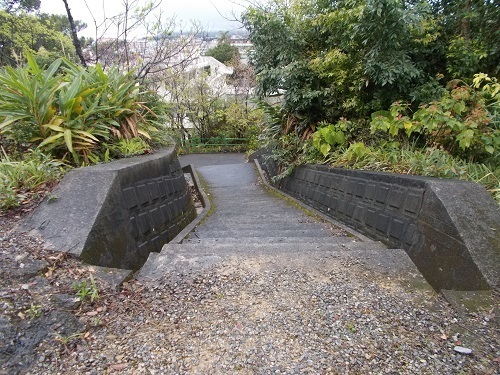 2025nago097.JPG