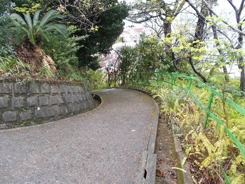 2025nago098.JPG