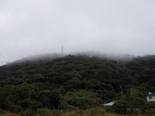 2025nago107.JPG