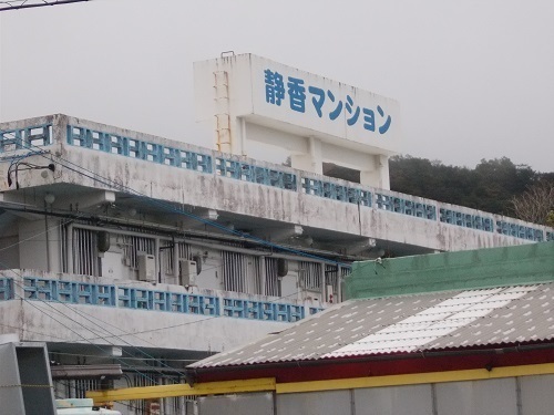 2025nago108.JPG
