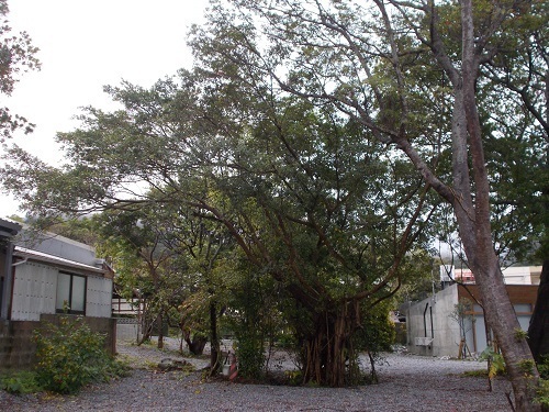 2025nago109.JPG