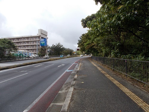 2025nago117.JPG