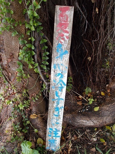 2025nago123.JPG