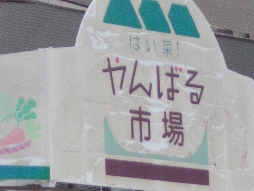 2025nago128.JPG